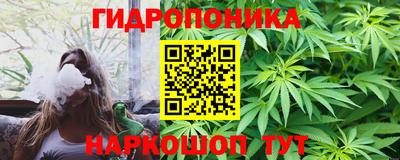 трава Лесосибирск
